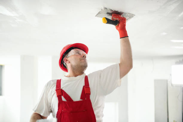 Best Mold Odor Removal Services  in Lake Wales, FL